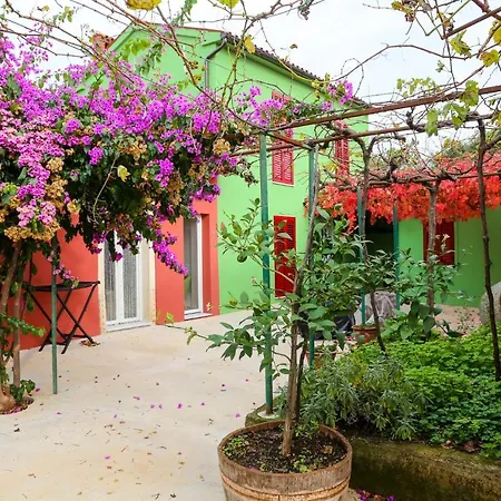 House Bougainvillea Hébergement de vacances Pula