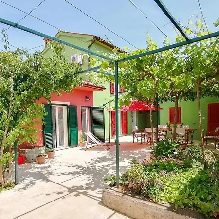 House Bougainvillea פולה