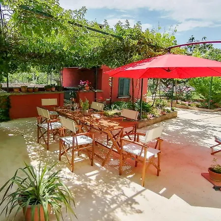 House Bougainvillea