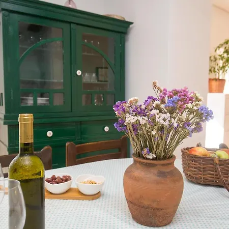 House Bougainvillea