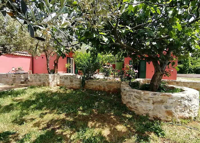 House Bougainvillea בית נופש