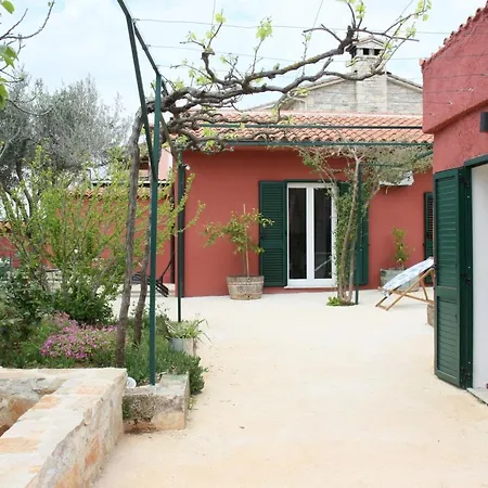 House Bougainvillea