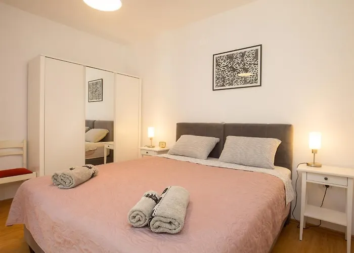 House Bougainvillea *