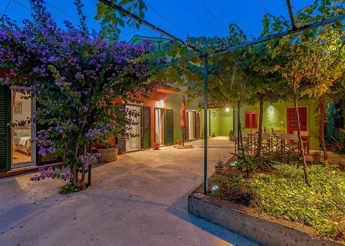 House Bougainvillea Pola