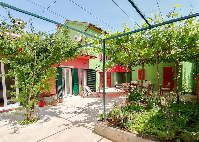 House Bougainvillea Pola