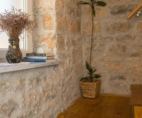 House Bougainvillea * Pola